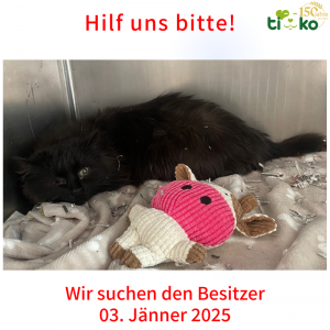 Fundtiere FB 3